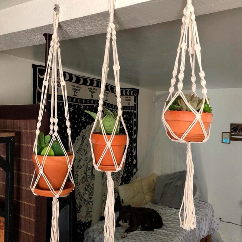 NYRA Macrame Plant Holder